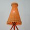 Mid-Century Rattan and Birch Table Lamp Attributed to JT Kalmar, 1950s, Image 6