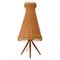 Mid-Century Rattan and Birch Table Lamp Attributed to JT Kalmar, 1950s, Image 1