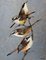 Magdalena Nalecz, Grey Antbird and Slaty Bristlefront, 2021, Acrylic on Canvas, Image 1