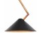 Black Brass Branch Ceiling Lamp by Johan Carpner for Konsthantverk Tyringe 1, Image 3