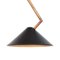 Schwarze Zweig Deckenlampe aus Messing von Johan Carpner für Konsthantverk Tyringe 1 6