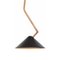 Black Brass Branch Ceiling Lamp by Johan Carpner for Konsthantverk Tyringe 1, Image 2