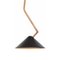 Lampada da soffitto in ottone nero di Johan Carpner per Konsthantverk Tyringe 1, Immagine 2