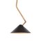 Lampada da soffitto in ottone nero di Johan Carpner per Konsthantverk Tyringe 1, Immagine 5