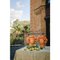 Orange of Patagonia Solimano and Roxelana Citrus Ceramic Vase from Crita, Set of 2 2