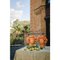 Orange of Patagonia Solimano and Roxelana Citrus Ceramic Vase from Crita, Set of 2, Image 2