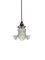 Vintage French Floral Frosted Glass Ceiling Pendant Lights, Set of 2 3