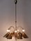 Lámpara de araña Sputnik grande de 12 brazos de Vereinigte Werkstätten, Imagen 19