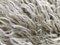 Thick Ecru Wool Rug, 1970s, Image 3