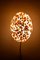 Bubblegum Light Sprinkles Bon Bon Wall Lamp by Helle Mardahl, Image 4