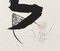 Joan Miro, L'aïeule des 10 000 âges, Original Lithograph 6