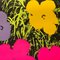 After Andy Warhol, Poppy Flowers 11.73, 1970s, Screen Print 3