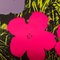 After Andy Warhol, Poppy Flowers 11.73, 1970s, Screen Print 4