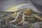 Anthony Brown, Paesaggio cubista, Olio su tavola, Incorniciato, Immagine 2