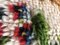 Small Colorful Rugs in Thick Wool, 1970s, Set of 2, Image 10