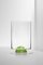 Pea Green Water Glasses by Nason Moretti, Set of 2, Image 1