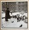 Karol Kallay, Pigeons, 1950s, Photograph, Image 1