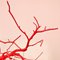 Sculpture de Branches Suspendues Rouge Fait Main par Le Jellyfish 4