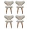Sedie WNG in pelle di pecora di Mazo Design, set di 4, Immagine 1