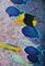 Patrick Chevailler, Peces que se alimentan de una pared de coral, 2021, óleo sobre lienzo, Imagen 2