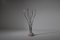 Lámpara de pie Octo italiana XXL ajustable de cromo y mármol de Studio Reggiani, Imagen 1