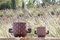 Jarrón Tauro pequeño de cerámica de Clémence Seilles para Stromboli Design, Imagen 5