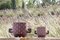 Tauro Ceramic Vases by Clémence Seilles for Stromboli Design, Image 4