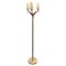 Mid-Century Modern Floor Lamp in Brass and Glass from Arredoluce, 1960s 1