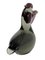Murano Glas Vogel Figur von Salviati & Company, 1960er 6