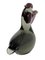 Murano Glass Bird Figure from Salviati & Company, 1960s 6