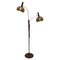 Dutch Chrome and Brown 2-Arm Globe Floor Lamp from Dijkstra 1