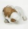 Porcelain Pointer Puppies Figurine from Royal Copenhagen Denmark, 1889-1922 5