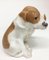 Porzellan Pointer Puppies Figur von Royal Copenhagen Denmark, 1889-1922 2