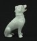 Chien Assis en Porcelaine de Chine, Dehua, Dynastie Qing, Epoque Kangxi 3