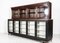 Large 19th Century English Glazed Apothecary Wall Cabinet in Mahogany 5