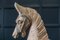 Französische polychrome geschnitzte Pferdeskulptur, 19. Jh 2
