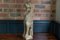 Grande Lampe de Bureau Lion en Chêne Sculpté, Angleterre, 18ème Siècle 9