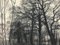 César Alphonse Bolle, Paysage de feuillage vers Cointrin, 1938, carbone su carta, Immagine 5
