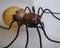 Spider Wall Lamp, 1970s 3