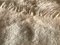 Alfombras pequeñas de lana en color crema, años 70. Juego de 2, Imagen 13
