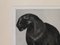 Art Deco Panther, 1930s, Lithograph, Image 2