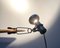 Lámpara de repisa minimalista Mid-Century de Swiss Lamps International, Imagen 21