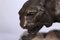 Tigre de bronce de James Andrey, años 20, Imagen 12