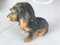 Un perro de cerámica de AK Kaiser, Imagen 3