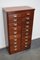 Mid-Century Dutch Industrial Apothecary Cabinet in Mahogany, Image 4