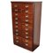 Mid-Century Dutch Industrial Apothecary Cabinet in Mahogany 1