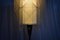 Mid-Century Czechoslovakian Floor Lamp in Nylon and Metal, 1950s, Image 7