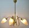 Lámpara de araña italiana con cinco brazos, años 60, Imagen 3