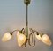 Italian Chandelier with 5 Arms in the Style of Stilnovo, 1960s, Image 4