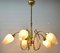 Italian Chandelier with 5 Arms in the Style of Stilnovo, 1960s, Image 13